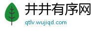 井井有序网